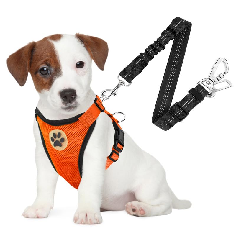 Slowton Dog Seat Belt Harness For Car, Dog Car Harness Adjustable Mesh Breathable & Dog Seatbelt Safety Tether With Elastic Bungee For Small Medium Large Pets(Orange, Double Clip, S)