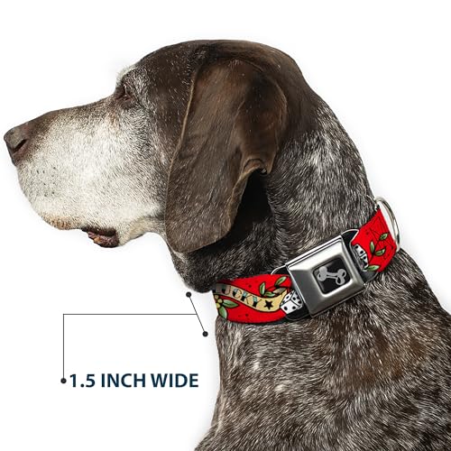 Dog Collar Seatbelt Buckle Lucky Red 11 To 17 Inches 1.0 Inch Wide