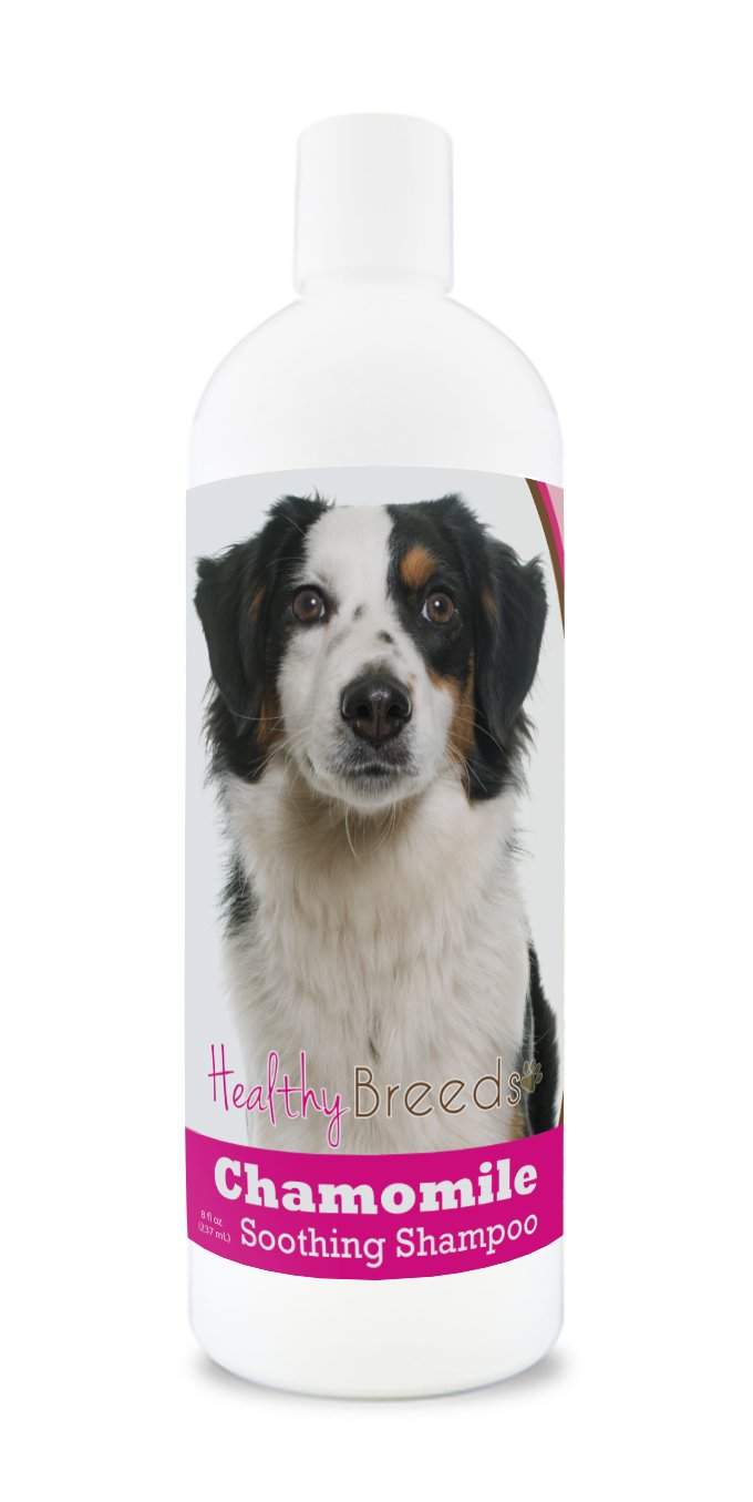 Healthy Breeds Miniature American Shepherd Chamomile Soothing Dog Shampoo 8 oz