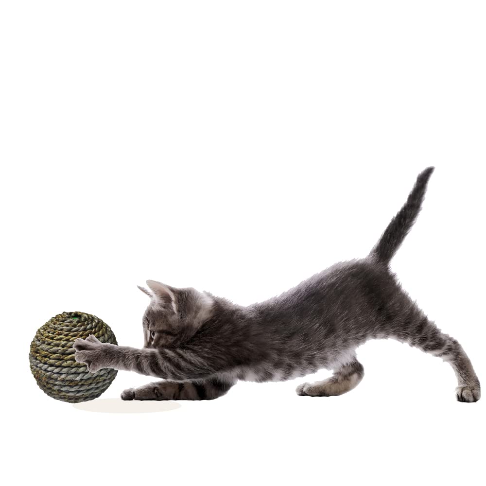 Mats Avenue Door Mats At Your Door Step Hand Made Jute Crafted Interactive Scratcher/Play Ball For Cat And Kittens Brown Color