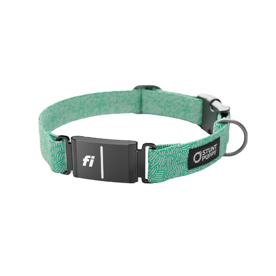 Stunt Puppy Dog Collar, Fi Series 3 Ready, Petri Jade, Small - Compatible With Fi Gps Device (Not Included)