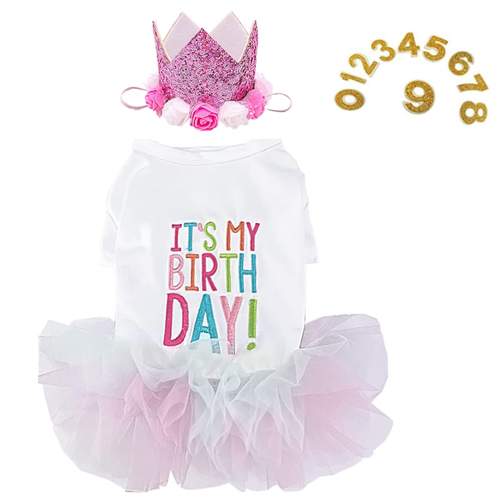 Aniac Dog Birthday Dress And Hat Set Puppy Lace Tutu Pink Pet Crown Hat With 0-9 Figures Birthday Outfit For Cats Small Dog (Whi