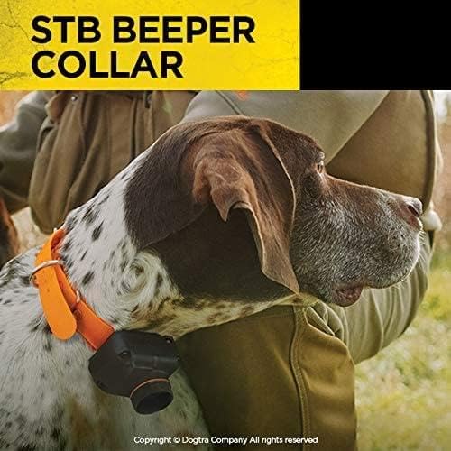 Dogtra STB Beeper Collar - Orange Hunting Dog Collar for Upland Gun Dogs, One Size (25 lbs and Up)