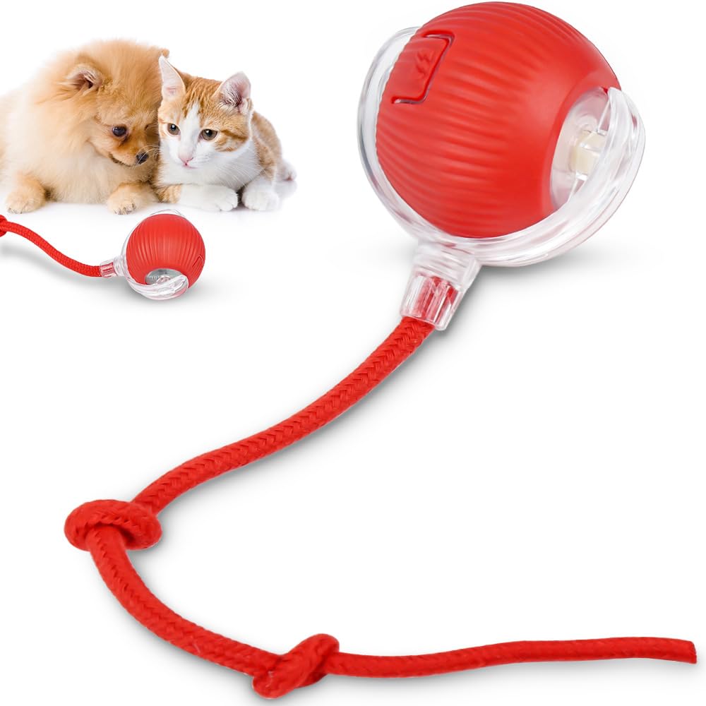 Pet Interactive Ball, Pet Ball, Interactive Cat Toy, Cat Toys, Cat Toy, Automatic Spinning Ball Bearing Intelligent Interactive 