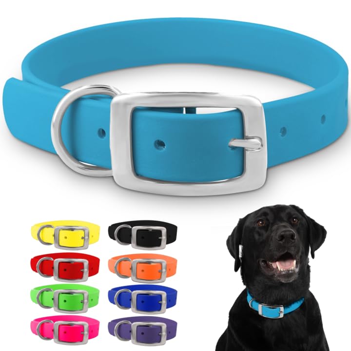Regal Dog Products Large Light Blue Dog Collar with Heavy Duty Double Buckle & D Ring | Vinyl Coated, Custom Fit, Adjustable Bio