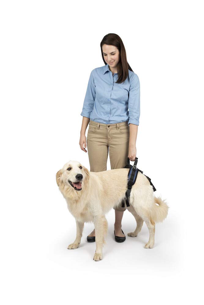 Petsafe Carelift Rear Support Harness - Lifting Aid With Handle And Shoulder Strap - Fits Waist Measuring 27-37 Inches, Dog Weig