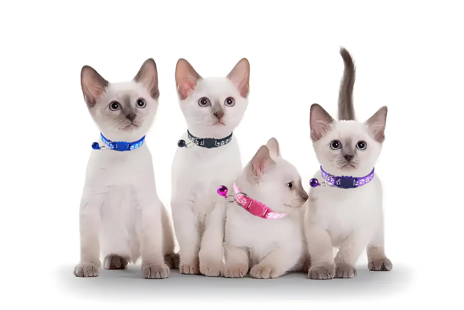 Orange Breakaway Kitten Collar With Bells, 2 Pack Break Away Cat Collar With Bells, Cat Collar For Girl Cats Boy Kitty