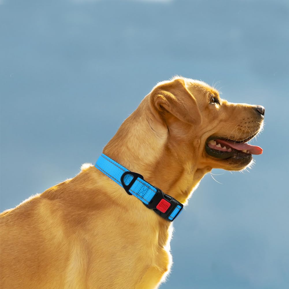 Taglory Reflective Dog Collar With Safety Locking Buckle, Adjustable Nylon Pet Collars For Extra Large Dogs Female Male, Sky Blue, Xl