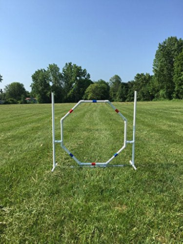 The Dog Agility Shop Dog Jump - Practice Tire/Hoop Jump - Pvc Material - 29 Inch Diameter