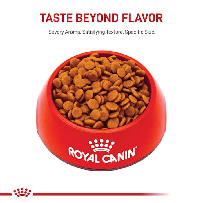 Royal Canin Small Digestive Care Dry Dog Food, 17 lb bag
