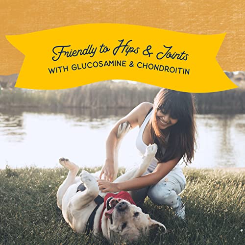 Natural Balance Limited Ingredient Rewards Jumpin Stix, Grain-Free Dog Treats for Adult Dogs of All Breeds, Duck Recipe, 10 Oun
