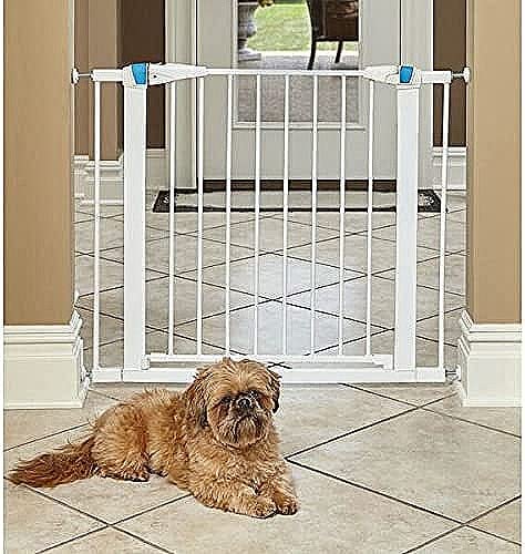 Midwest Homes For Pets Walk-Thru Steel Pet Gate W/ 'Safety Glow' Frame; 29' & 39' Tall Pet Gates In Soft White & Textured Graphite (2929Sw-Gl)