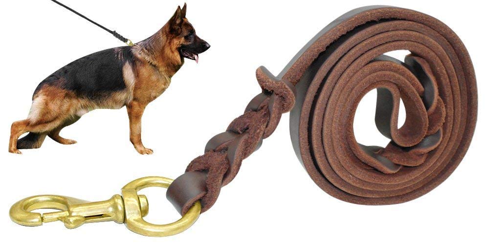 Berry Pet Leather Dog Leash - Training & Walking Braided Dog Leash - 4 Ft By 5/8 In (120Cm 1.6Cm) - Latigo Leather Brown