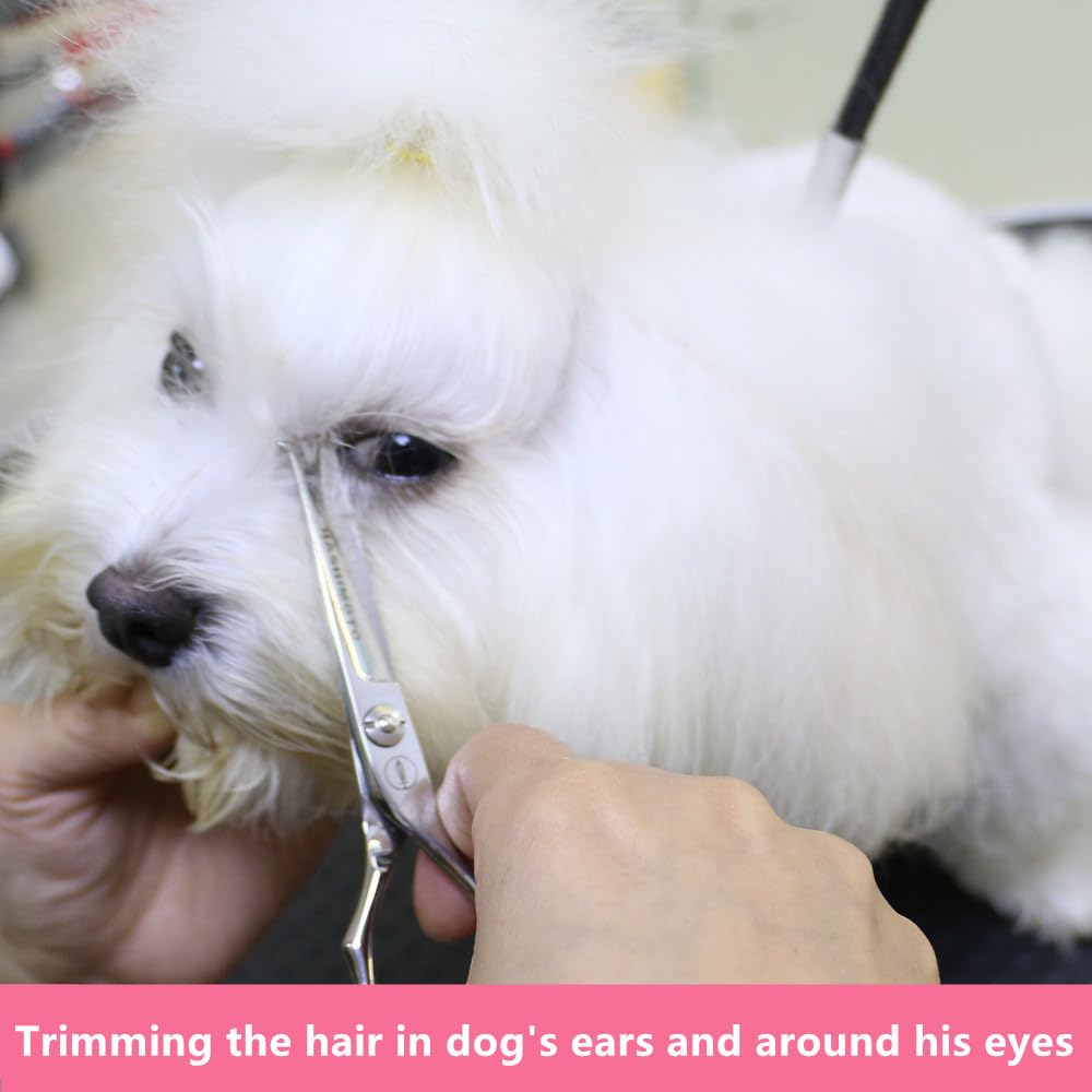 Hashimoto Small Dog Grooming Scissors With Rounded Tips, 5.0 Inch, Straight Blade With Micro-Serrated, Designed For Trimming Aro