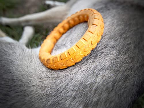 Spunky Pup Gnaw Guard Foam Dog Toy | Strong Dental Chew Toy | Promotes Healthy Teeth & Gums | Large Ring