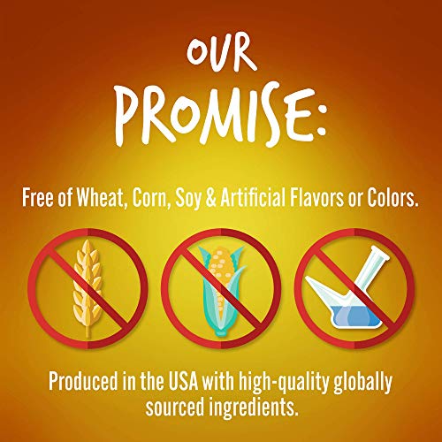 Fruitables Baked Dog Treats - Healthy Low Calorie - Free of Wheat, Corn and Soy - Pumpkin and Banana - 12 Ounces