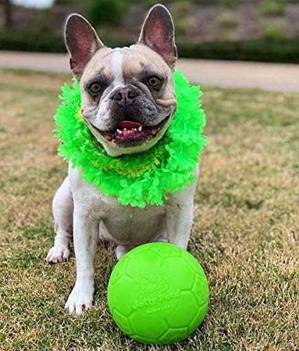 Jolly Pets Medium Soccer Ball Floating-Bouncing Dog Toy, 6 Inch Diameter, Apple Green (Sb06 Gr)