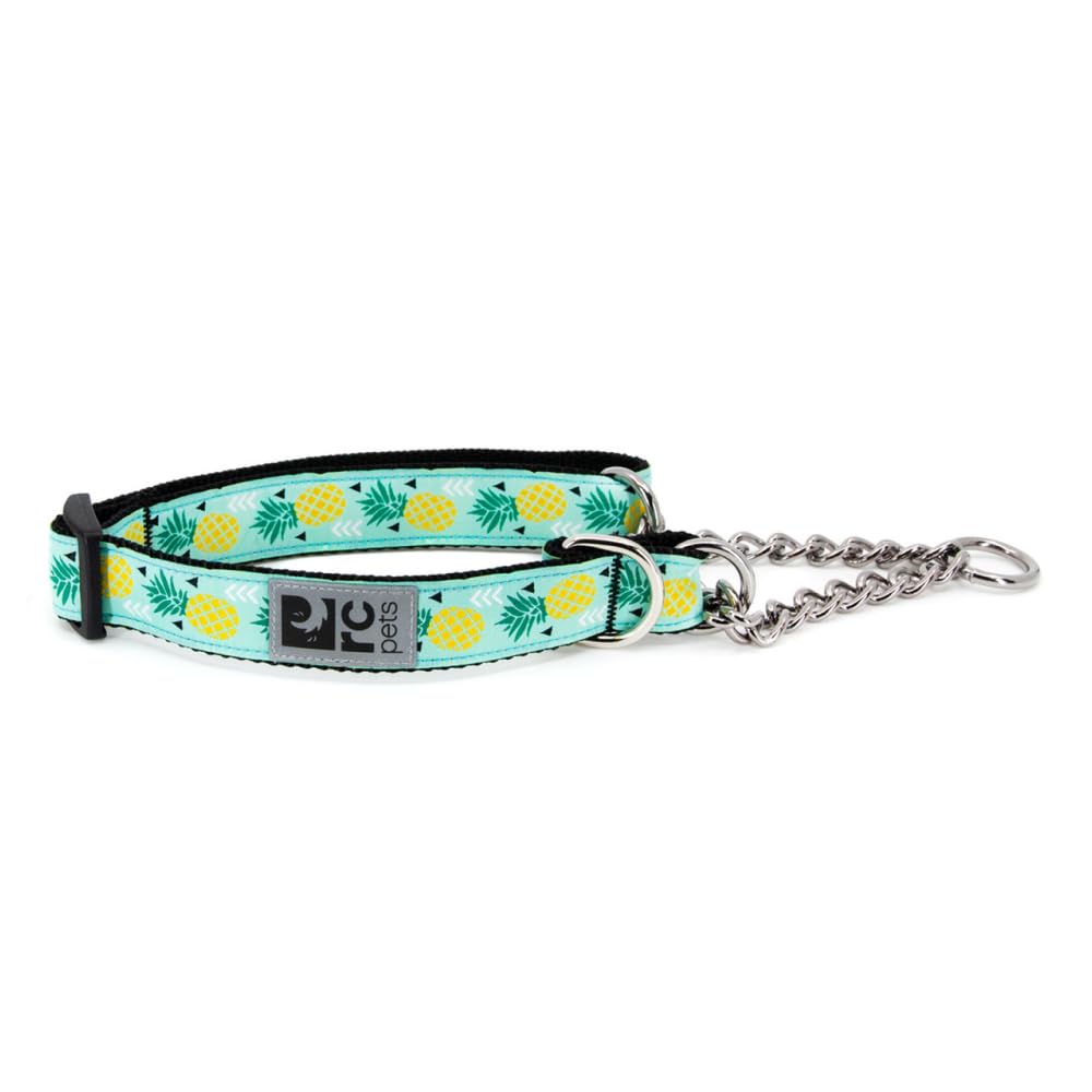 Rc Pets 3/4 Martingale Training Collar, Small, Pineapple Parade