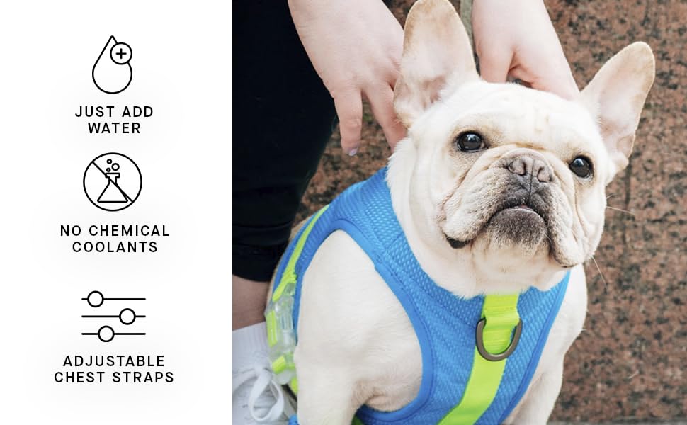 Canada Pooch Dog Cooling Harness - Evaporative Cooling Harness Vest For Dogs With Breathable Mesh Material & Reflective Lining, Adjustable Dog Cooling Vest Great For Dogs Blue