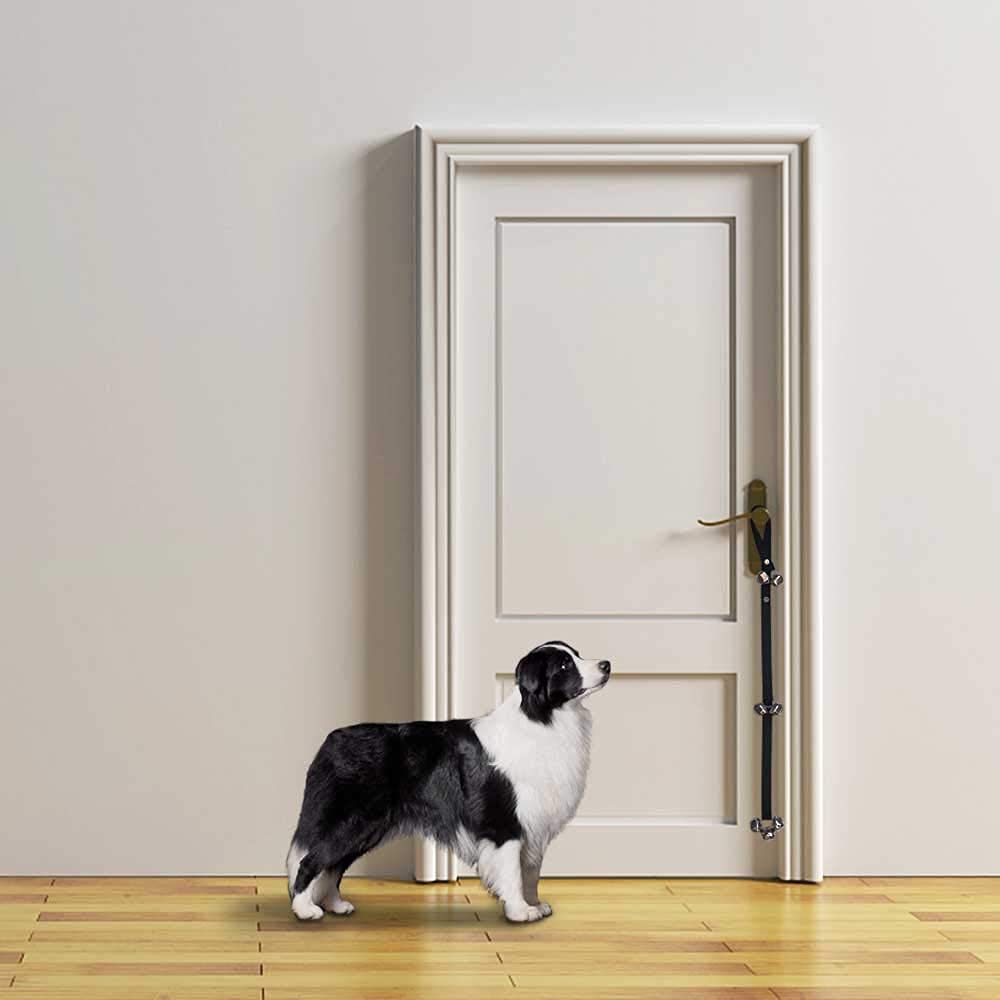 Alinana Adjustable Dog Doorbell For Training - 7 Extra-Loud Dog Door Bell For Going Outside And Potty Training - Ideal Puppy Training Supplies
