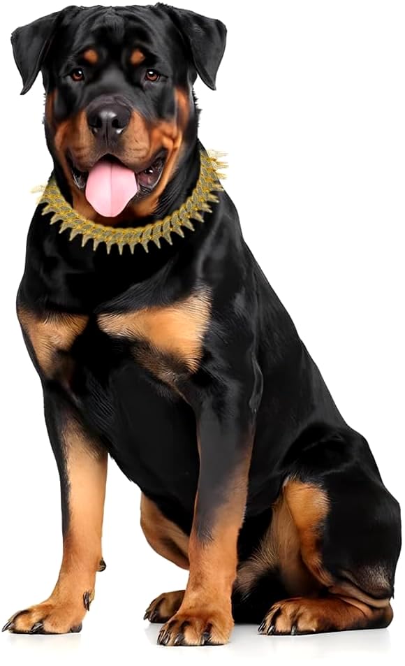 Gold Dog Chain Collar, Cool Spiked Style Necklace Bling Diamond Cuban Link Dog Collars Glitter Rhinestone Puppy Collar For Xxs X