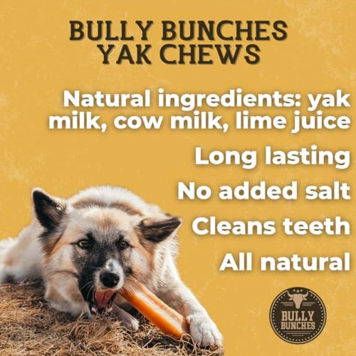 Bully Bunches Small Authentic Yak Cheese Himalayan Chews for Small Dogs & Puppies - All Natural Dog Treat Dental Chews, Made wit