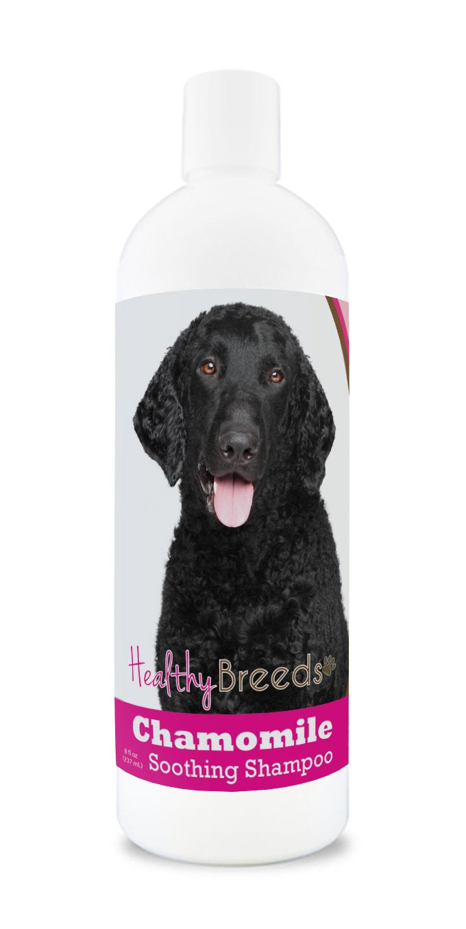 Healthy Breeds Curly-Coated Retriever Chamomile Soothing Dog Shampoo 8 oz