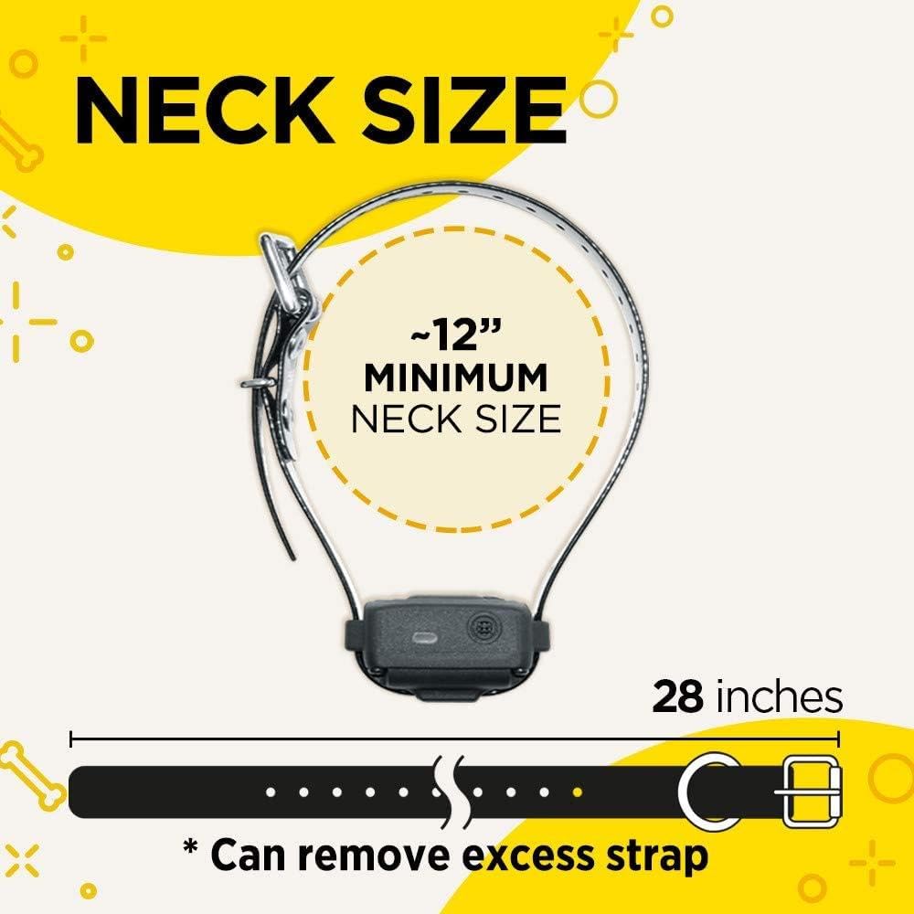 Dogtra iQ Vibe Rechargeable Waterproof Vibration No Bark Collar - Compact Black, 28 Inch