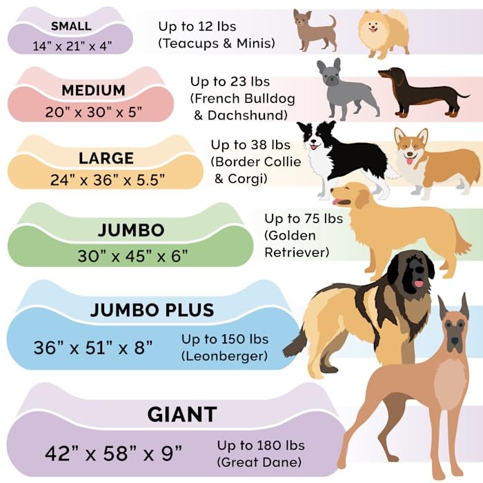 Furhaven Orthopedic Dog Bed For Medium/Small Dogs W/ Removable Washable Cover, For Dogs Up To 23 Lbs - Ultra Plush Faux Fur & Su