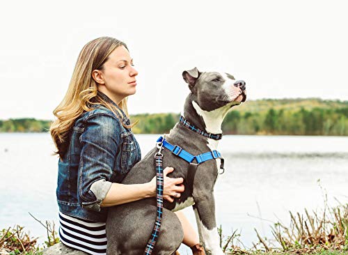 Rc Pets Pace No Pull Dog Harness, Small, Black