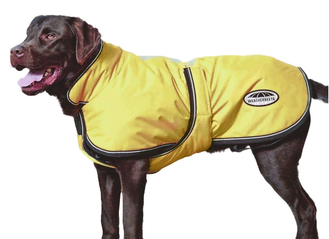 Weatherbeeta Comfitec Reflective Parka 300D Deluxe Dog Coat, Yellow, 24'