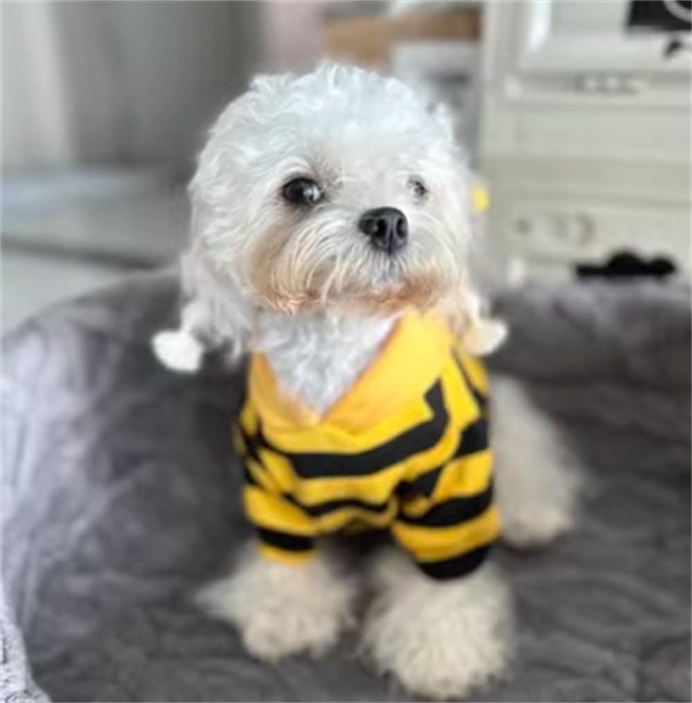 Pet Funny Hoodie Ugly Christmas Sweater Cold Weather Warm Coat For Puppy Small Dog Halloween Party Costume Cute Hoodie