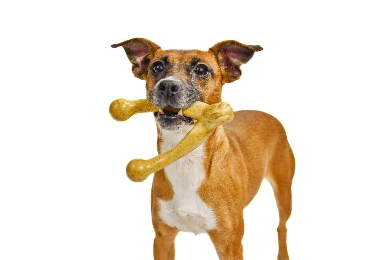 Pet Qwerks Wishbone Barkbone - Nylon Chew Toy For Aggressive Chewers - Peanut Butter Flavor - 5.38'