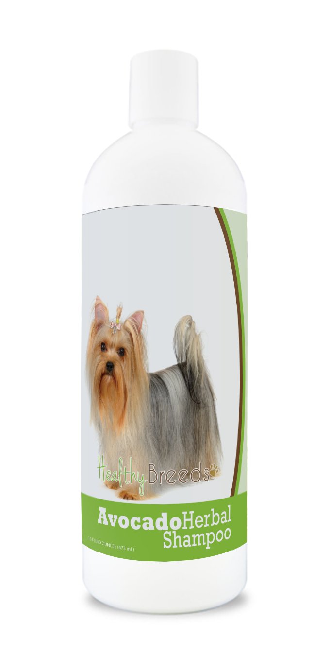 Healthy Breeds Yorkshire Terrier Avocado Herbal Dog Shampoo 16 Oz
