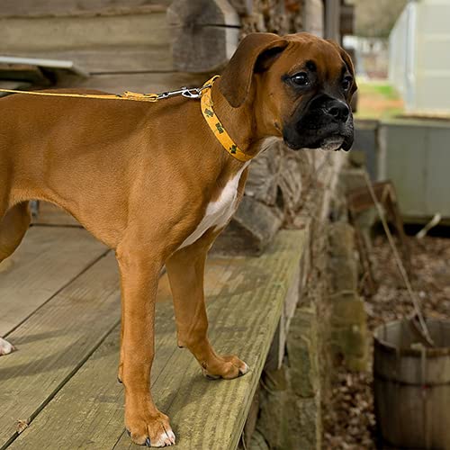 Country Brook Petz - Deluxe Busy Bee Dog Collar - Made In The U.S.A - Summer Breeze Collection Featuring Sunny Designs (1/2 Inch