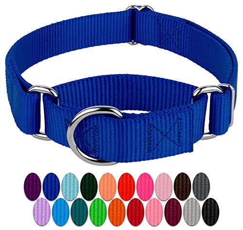 Country Brook Petz Martingale Dog Collar - Heavy-Duty Training Collar With No Buckle - Service Dog Collar For All Pups - Vibrant, Colorful Collection (Royal Blue, 1 Inch, Medium)