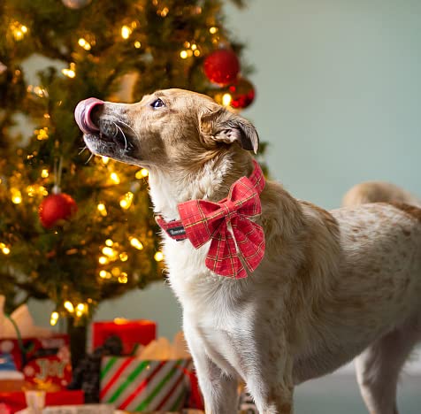 Maca Bates Christmas Plaid Dog Collar with Bow Bowtie for Dogs Sailor Bow Tie Adjustable Breakaway Red Collars Accessories Gift