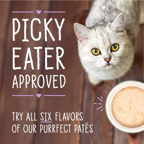 Stella & Chewys Carnivore Cravings Purrfect Pate Cans - Grain Free, Protein Rich Wet Cat Food - Chicken & Chicken Liver Recipe