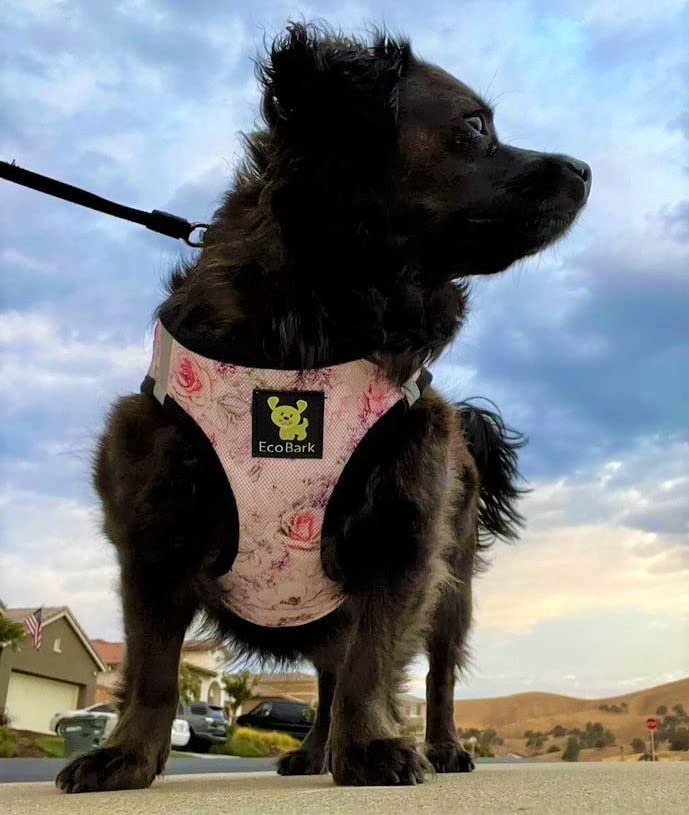 Ecobark Step In Dog Harness - Eco-Friendly Teacup Dog Harnesses For Xxs, Xs, And Small Dogs - Reflective And Adjustable Mini Body Halter -Tiny Soft Mesh Toy Breed Vest Under 5 Lbs (Floral, Xxs)