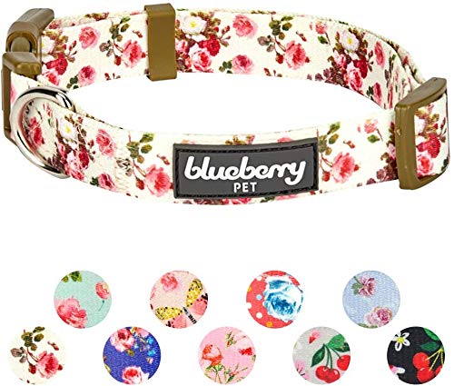 Blueberry Pet 7 Patterns Spring Scent Inspired Pink Rose Print Ivory Adjustable Dog Collar, Medium, Neck 14.5'-20'