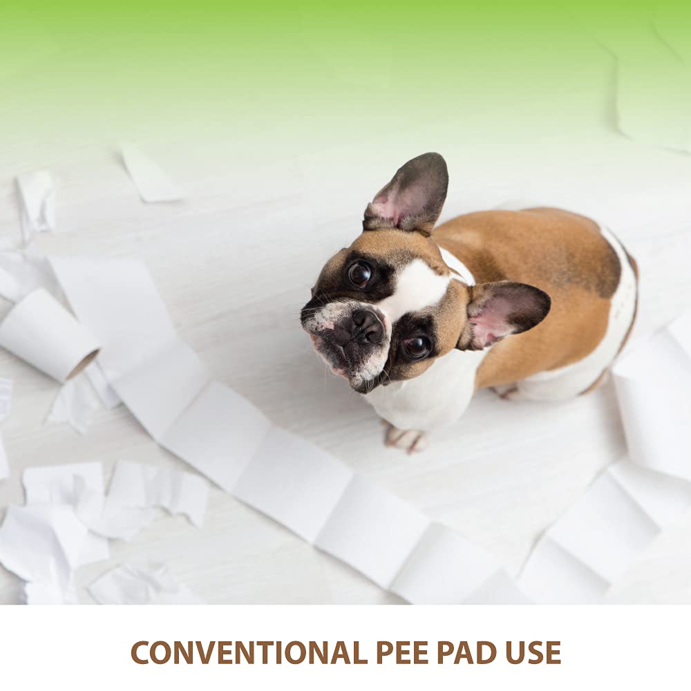 Banu Puppy Pee Pad Holder Indoor Outdoor Dog Potty Toilet Training Tray 20'' X 16'' For Small And Medium Dogs (Ivory)
