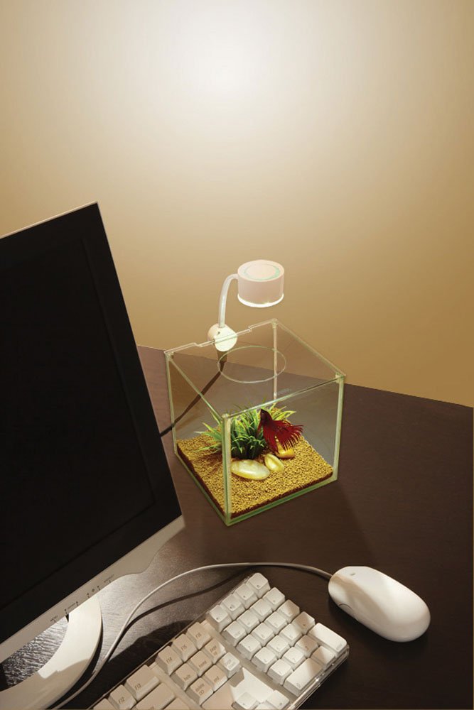 Marina Cubus Glass Betta Kit – Elegant Glass Aquarium For Homes Or Offices