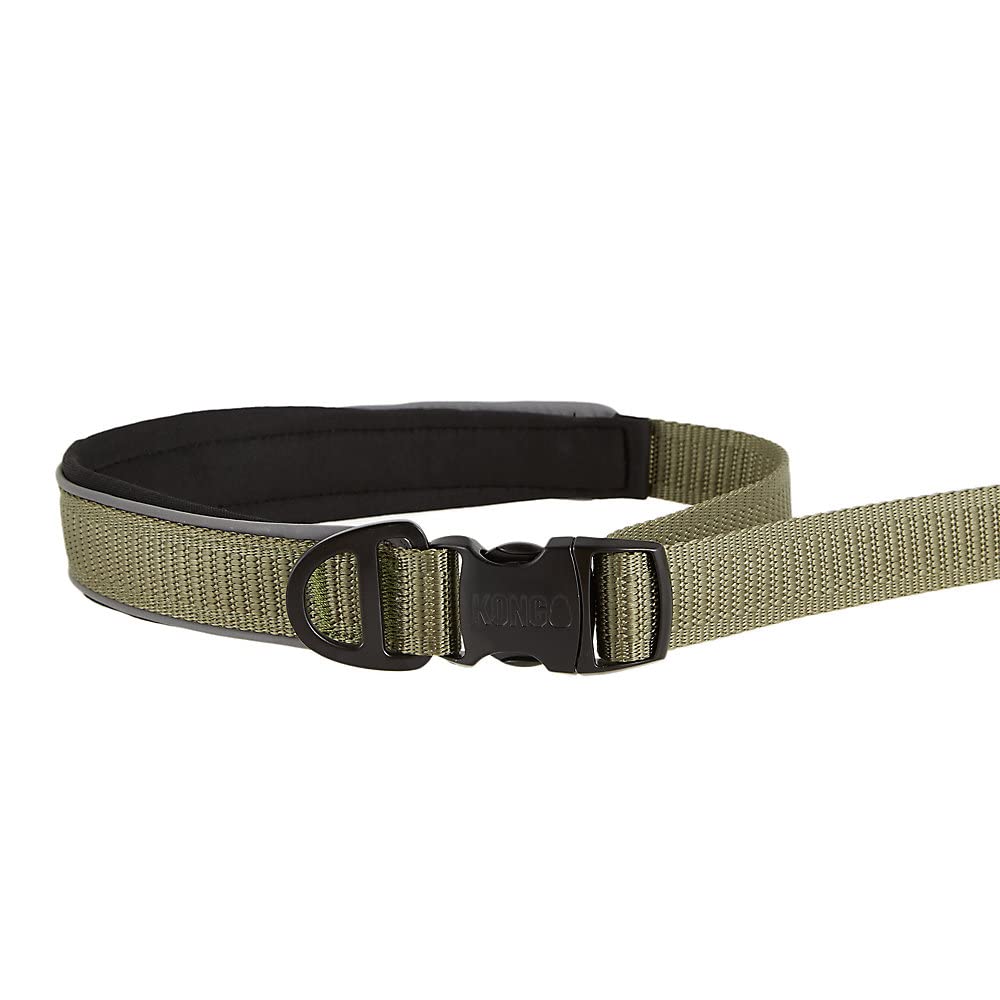 Kong Reflective Shock Absorbing Hands-Free Bungee Dog Leash 6' (Green)