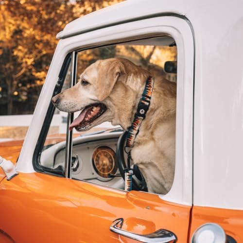 Wolfgang Heavy Duty Martingale Dog Collar With Quick Release Nylon Buckle For Walking & Training, Overland Print, Medium