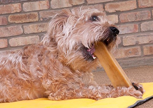 Downtown Pet Supply Yak Cheese Himalayan Dog Chews - Regular Yak Chews Rich in Nutrients for Small to Medium Dogs - Long Lasting