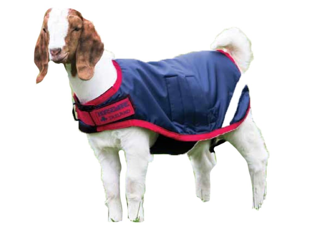 Horseware Ireland Breathable Waterproof Windproof Cold Weather Adjustable Goat Coat (100G Fill), Navy/Red, Large