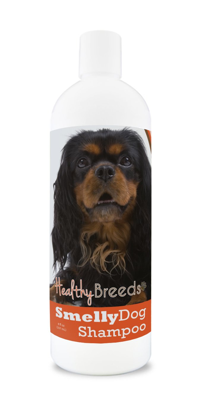 Healthy Breeds English Toy Spaniel Smelly Dog Baking Soda Shampoo 8 oz