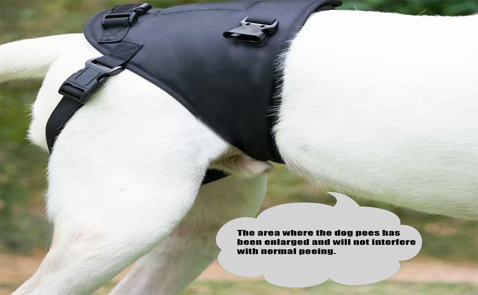 Sling For Dogs With Injuries And Stifle Weakness - Stifle Support Device For Recovery And Disability (Black, S)