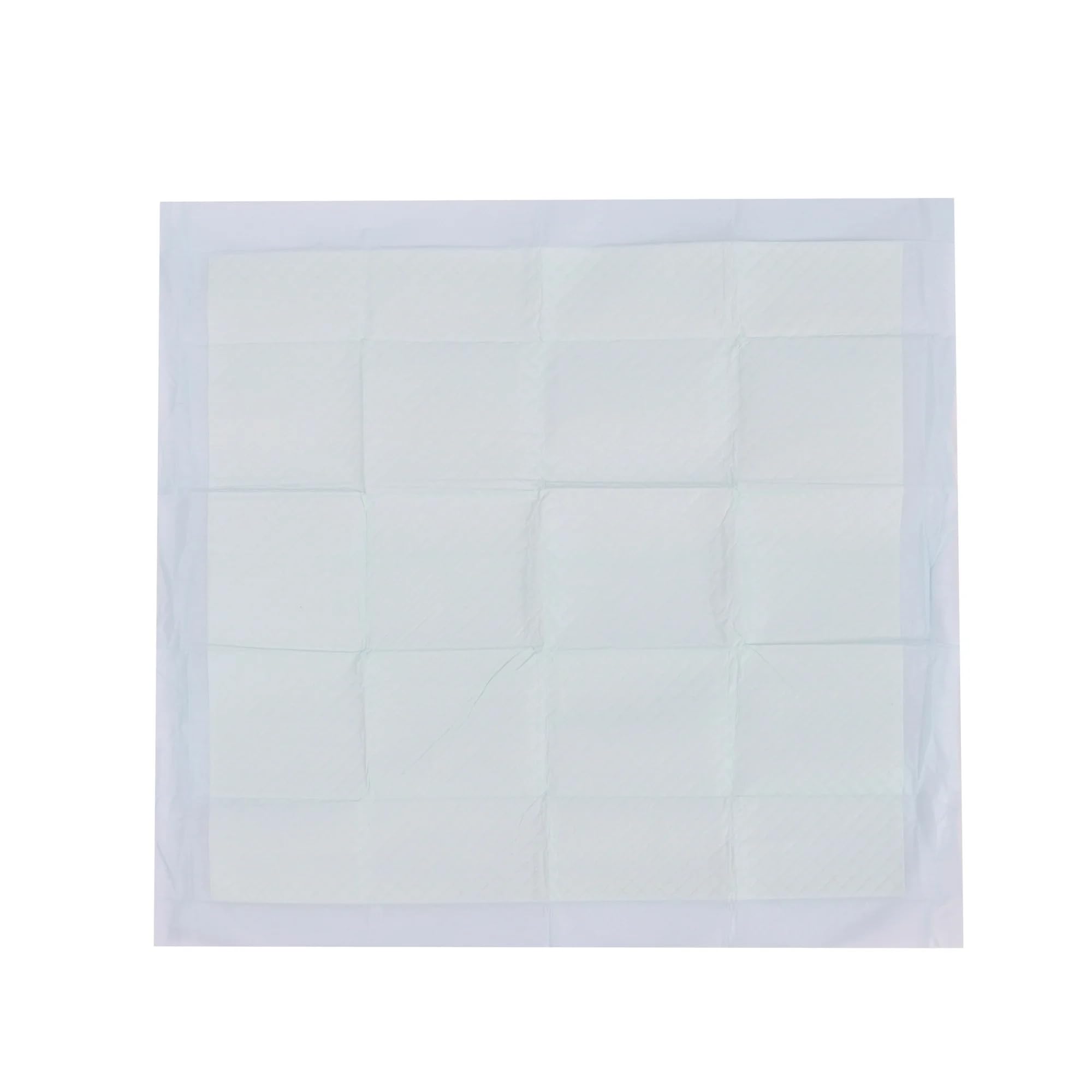 Vibrant Life Large Dog & Puppy Training Pads, 22 in x 22 in, Absorbent, Leak-Proof, Disposable, Odor Control, Built-in Attractan