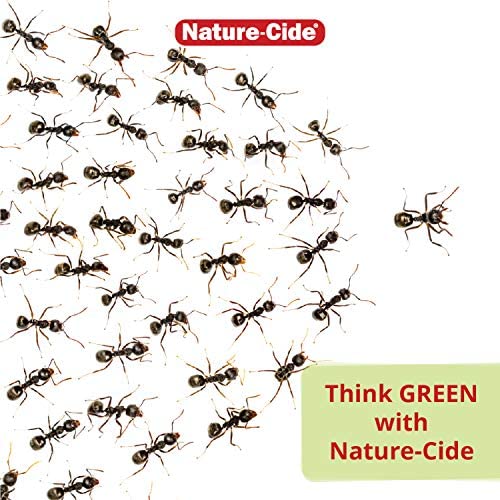 Nature-Cide Flea & Tick Spray - All Natural, Kills on Contact, 8 Fl Oz, Model NCFT8